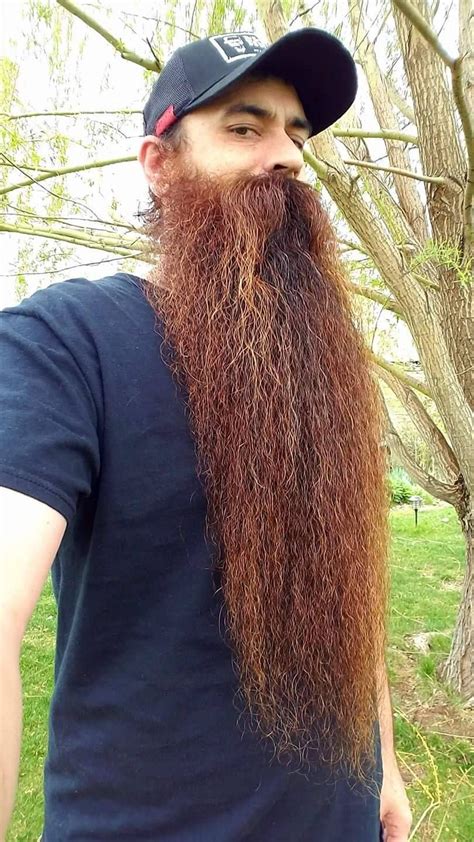 pin  sam kuglen  skuglen long hair beard long beard styles
