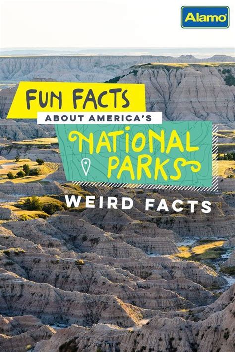 national park fun facts weird facts places  travel national parks trip