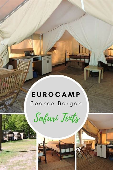 beekse bergen safari tent camping  eurocamp eurocamp beeksebergen glamping safari park