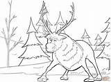 Sven Frozen Coloring Olaf sketch template