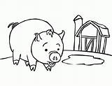 Pig Coloring Fat Books Printable Cute sketch template