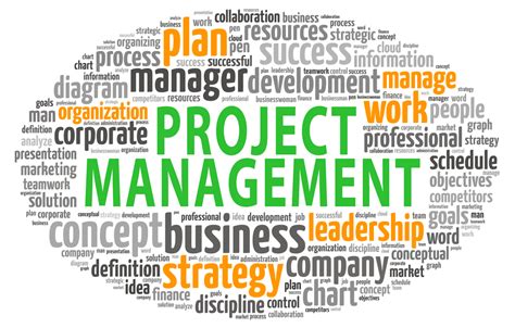 program overview associates degree  project management