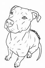 Dog Pit Drawing Bull Line Pitbull Drawings Dogs Coloring Puppies Staffy Clipart Animal Tattoo Pitbulls Terrier Stencils Outline Pages Puppy sketch template