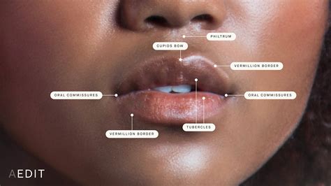 lip ptosis overview  treatment options   aedit