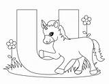 Coloring Alphabet Pages Letter Kids Printable Animal Baby sketch template