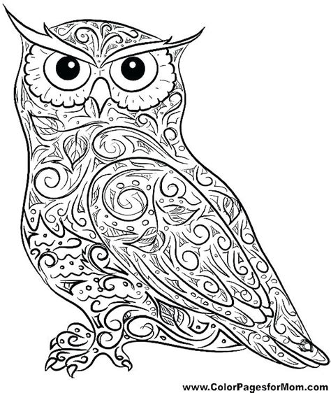 baby owl coloring pages  getcoloringscom  printable colorings