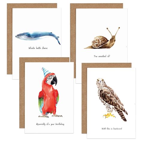 punny animal cards animal cards belated birthday  cards