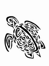 Tribal Turtle Drawing Clipart Getdrawings sketch template