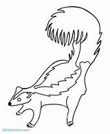 Skunk Coloring Pages Library Clipart Printable Books Popular Insertion Codes Clip sketch template