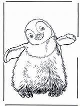 Penguin Coloring Pages Kids Printable Print Feet Happy Emperor Baby Penguins Colouring Cute Animals Animal Pinguin Cartoon Zoo Bestcoloringpagesforkids Drawing sketch template