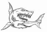 Shark Coloring Megalodon Pages Jaws Drawing Great Scary Sketch Whale Hammerhead Outline Sharks Print Color Fish Kids Hungry Cartoon Humpback sketch template
