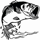 Bass Fish Fishing Coloring Pages Water Jumping Drawing Clipart Color Silhouette Svg Tocolor Getdrawings Fisherman Print Jump Pencil Place Colouring sketch template
