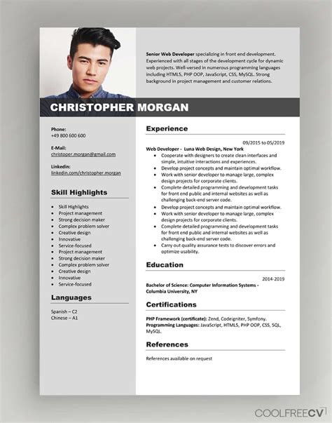 Cv Resume Templates Examples Doc Word Download Resume Template