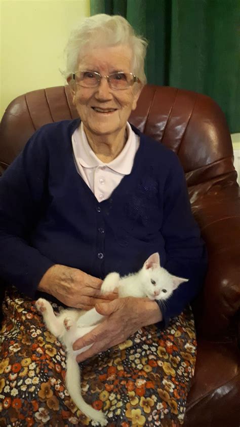 My 90 Year Old Granny With Our 10 Week Old Kitten Buttons Old Granny