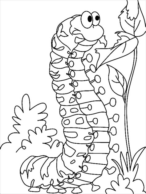 caterpillar coloring pages coloringbay