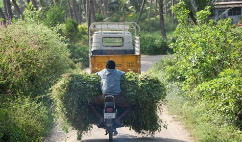 Village Life In Tamil Nadu Superkimbo Flickr