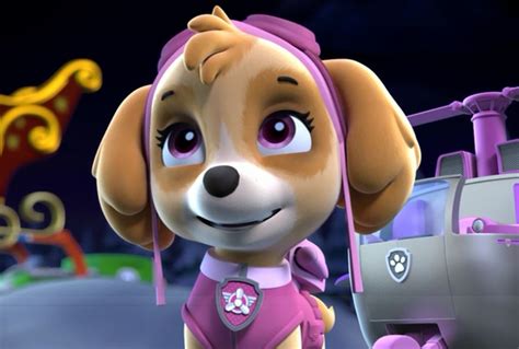 skye paw patrol photo  fanpop