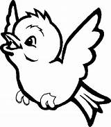 Coloring Pages Bird Birds sketch template