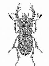 Zentangle Beetle Coloring Pages Adults Bright Teens Colors Favorite Color Choose sketch template
