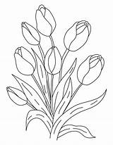 Tulip Teens Bouquet Meredithcorp Imagesvc Ausmalbilder sketch template