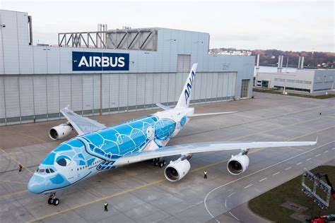 finally  ana shows   epic flying honu  livery