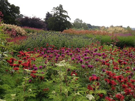 piet oudolf public garden trentham estate trentham stoke  trent staffordshire uk
