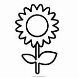 Girassol Colorir Girasol Girasole Ultracoloringpages Coloringcity sketch template