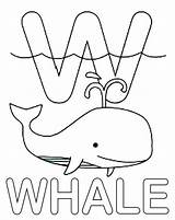 Letter Coloring Whale Pages Preschooler Students Top sketch template