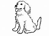 Coloring Pages Collie Lps Puppy Popular sketch template