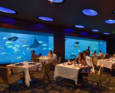 restaurant review resorts world sentosas ocean restaurant