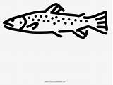 Trout Clipartkey sketch template