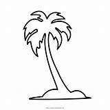 Palmera Palmeira Blanco Palmas Arecaceae Pages Klipartz Ultracoloringpages sketch template