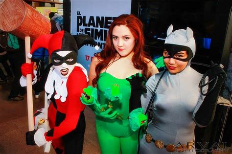 gotham city sirens classic bruce timm version by