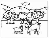 Coloring Kindergarten Goat Nanny Goats Kwala Boowa sketch template