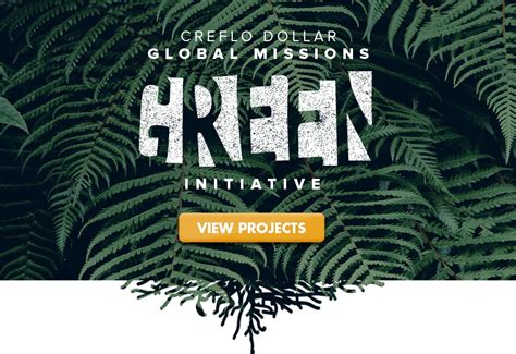 cdgmgreen initiative cdm international