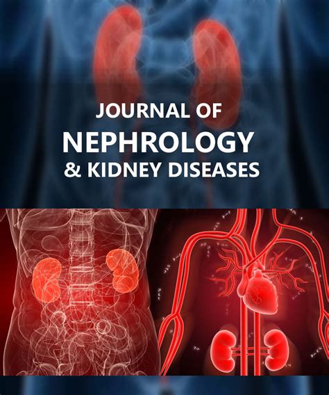 nephrology scientific literature