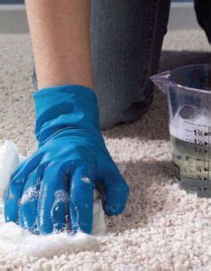 carpet stain remover baking soda white vinegar dawn   hydrogen