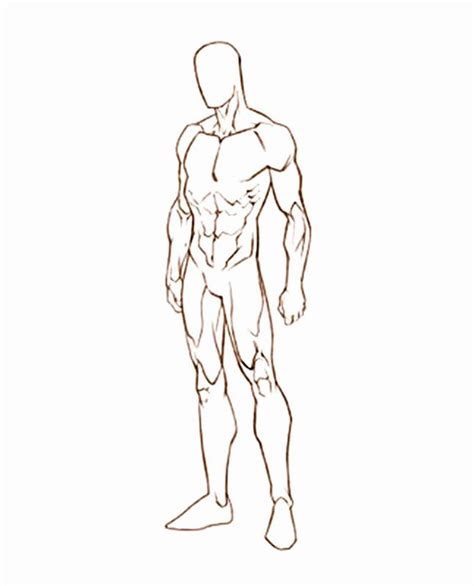 blank male body template elegant male sketch template google search