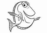 Dory Coloring Nemo Dori Disegni Pesce Gratuit Coloriages Pesci Animations Squalo Cartoni sketch template