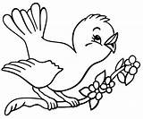 Mewarnai Burung Lucu Anak Belajar Bird Colorare sketch template