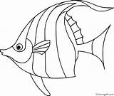 Angelfish Coloringall Peixe Illustration Artigo Peixes sketch template