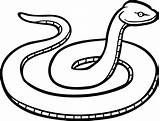 Coiled Drawing Rattlesnake Snake Transparent Getdrawings sketch template