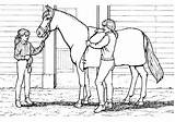 Pferde Reiter Malvorlagen Ausdrucken Reiterin Pferd Reiten Malen Mandalas Drucken Ausmalbilderkostenlos Filly sketch template