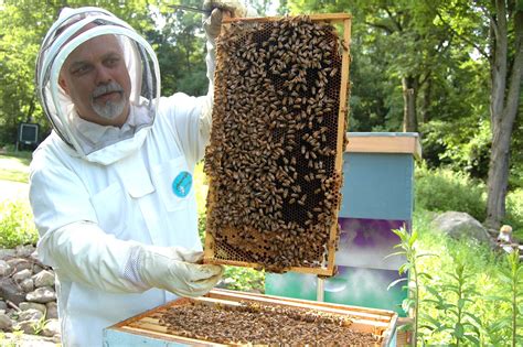 wintersterfte door verhongering voorkomen hebben je bijenvolken nog genoeg voer  moet