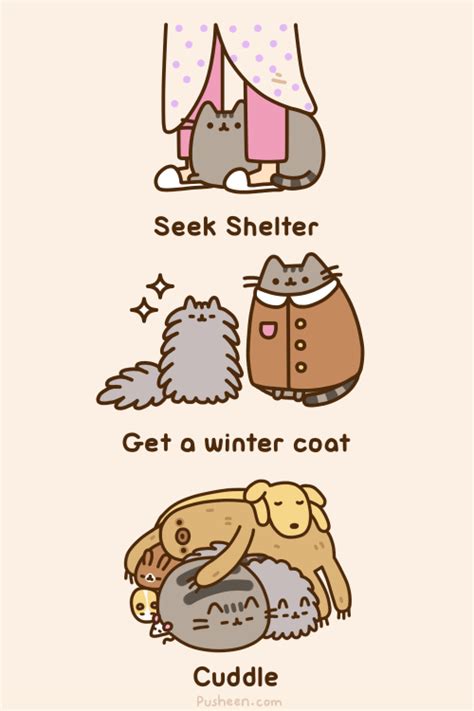 pusheen best cartoons and various comics translated into english most funny comic strips