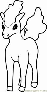 Ponyta Coloringpages101 sketch template