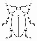 Kever Insecten Kleurplaat Tekenen Bugs sketch template