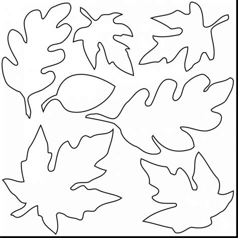 fall leaves coloring pages  kindergarten