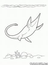 Elasmosaurus Baryonyx Dinosaurier Dinosaurio Dinosauri Kolorowanki Plesiosauro Dinosaurios Dinozaury Malvorlagen Kolorowanka Colorkid Dinosaurs Ichthyosaur Tippsvorlage Pteranodon Dinosaures Dimetrodon Parasaurolophus Dinossauros sketch template