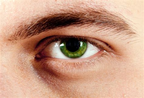 amazing facts  green eyes guy counseling
